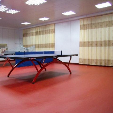 bestsellingvinylsportflooringfortable