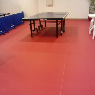 cheappvctabletennisfloor
