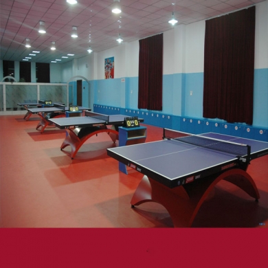 chinesesupplierpvctabletennisflooringroll