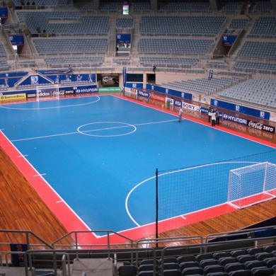 freepvcfloorrollsampleforfutsal