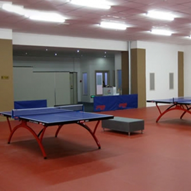 professional vinyl table tennis floor