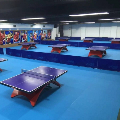 pvcredcolortabletennisfloor