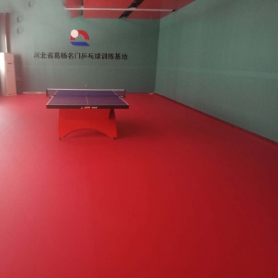 recycledpvcsportflooringfortabletennis