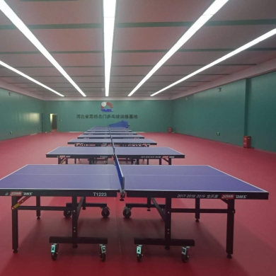 syntheticpvctabletennisflooring