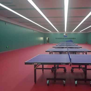 tabletennispvcsportsflooring