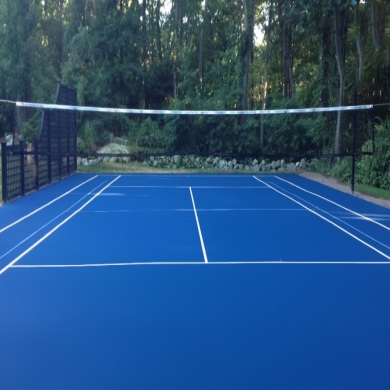 paint 46x88 tennis 1 color with lines mike, monica 