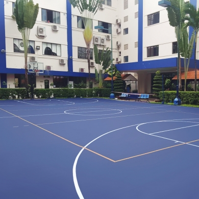 san bong chuyen 8